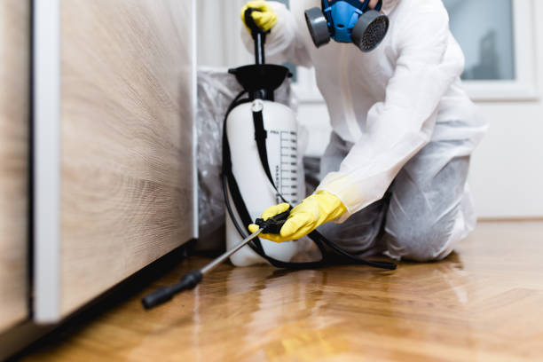 Reliable Rogersville, TN Pest Control Solutions