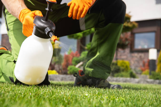 Best Commercial Pest Control Services  in Rogersville, TN