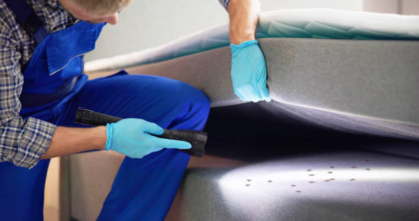  Rogersville, TN Pest Control Pros