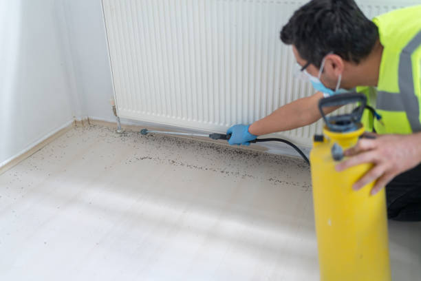 Best Flea Control Services  in Rogersville, TN